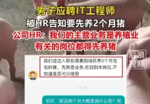 男子应聘程序员岗位，被要求先养两个月猪？HR回应
New