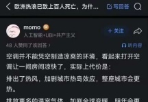 在欧洲安空调还上纲上线了