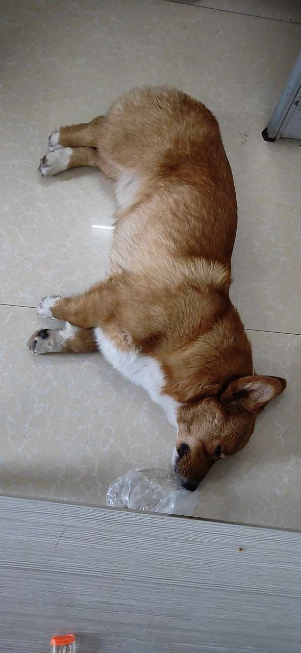 090952gqqqdkgzov4htxqh.jpg