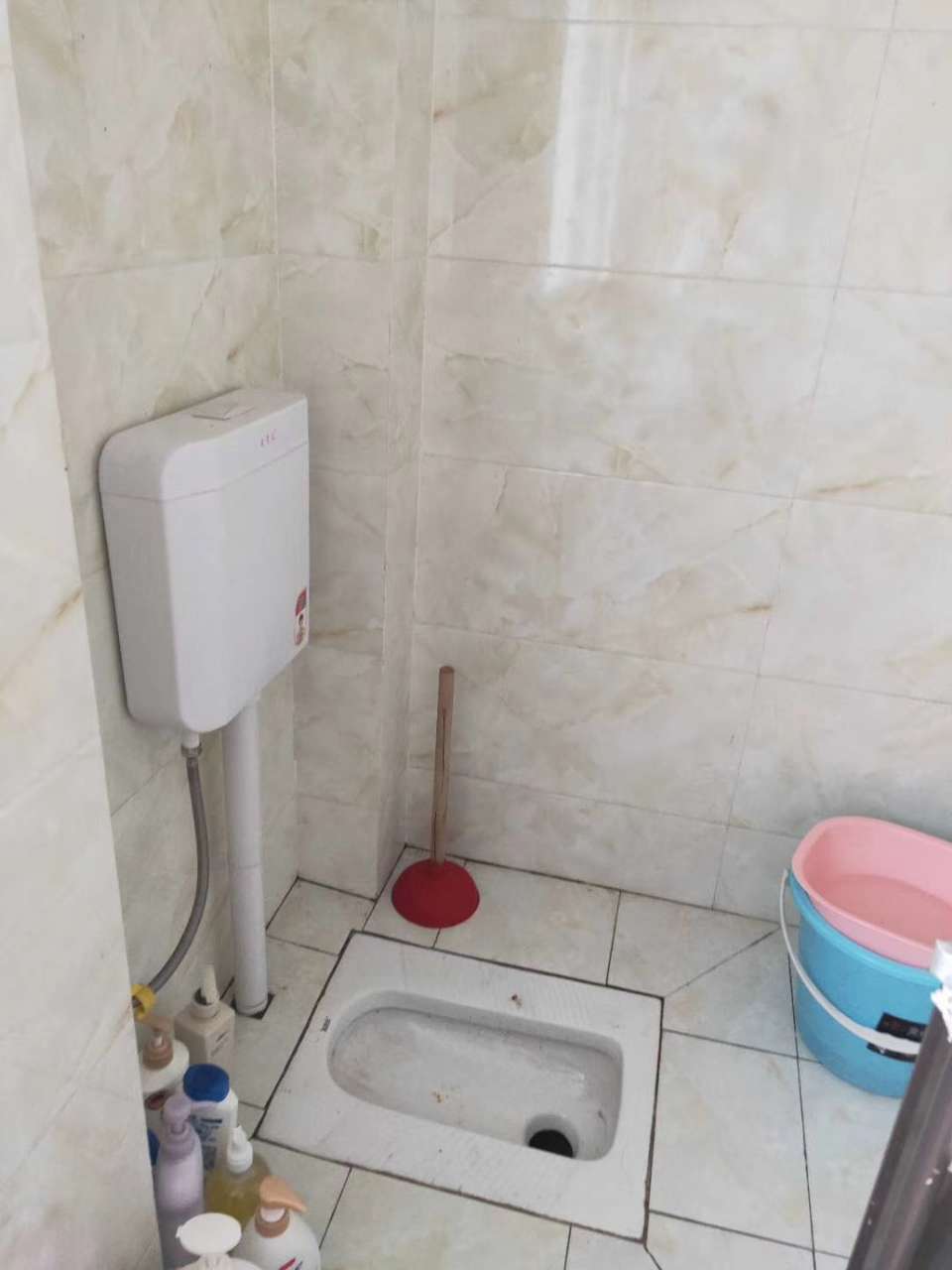 102803ey53di4yy8amtydt.jpg