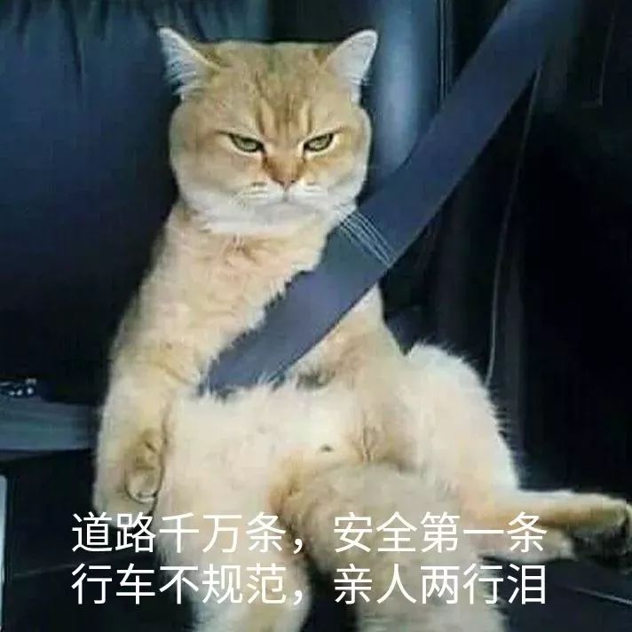 101255xeeunmnhi9639aqj.jpg