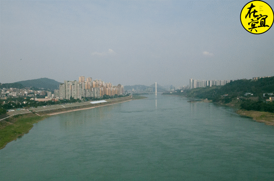 115025srjj0pzc79c6g696.jpg