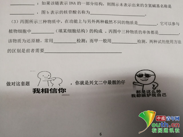 092243nu6yes1y355y1l1w.jpg