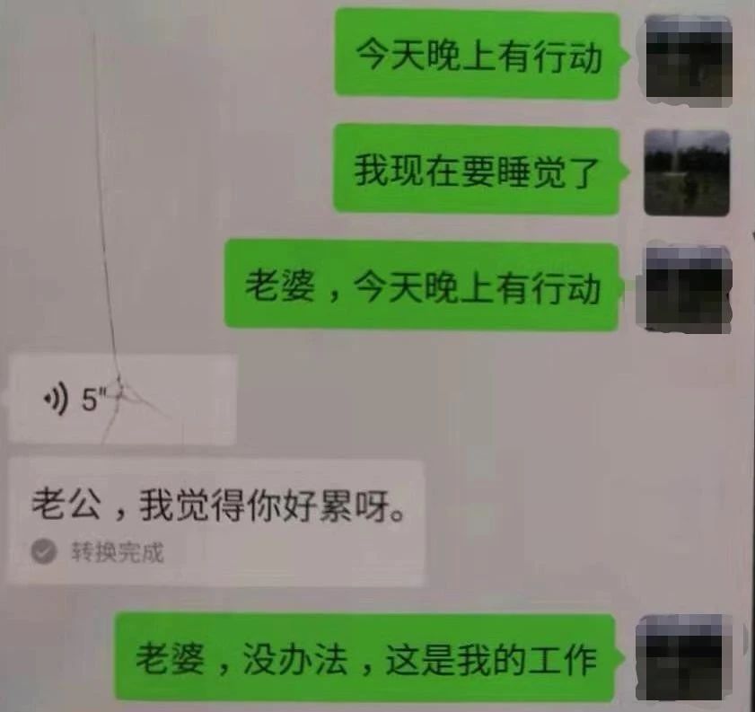 092048u4gd3f8zv8f45l88.jpg