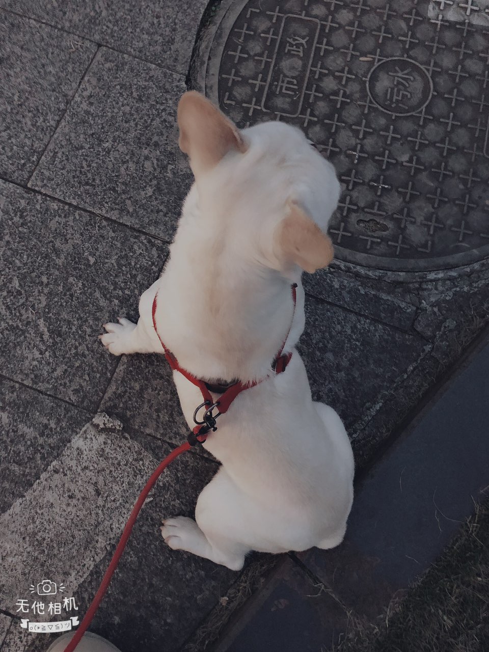 163035dxi6y8sq6ykiosqk.jpg