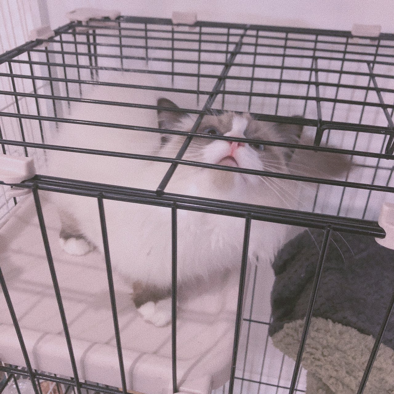 170621s7ft0wrr7zetjngw.jpg