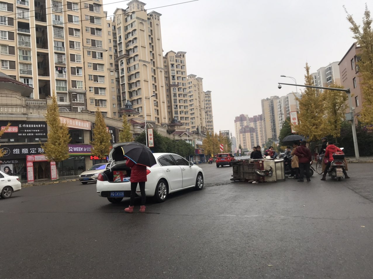 145002u1eg1y6g41qt2i3v.jpg