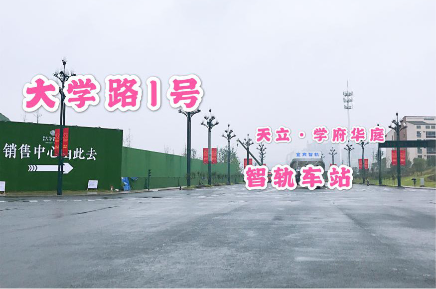185553p6lwng265gm6al8n.jpg