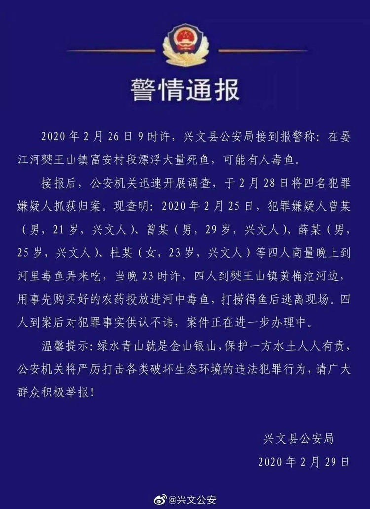 750.jpg