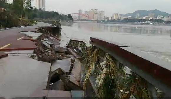 今天洪水退去，长江公园栏杆消失、骑行道塌陷、绿化带被掏空！-5.png