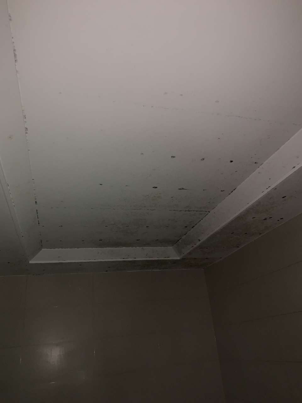 地下室墙面顶面发霉怎么办？想听专业人士讲解！-1.jpg