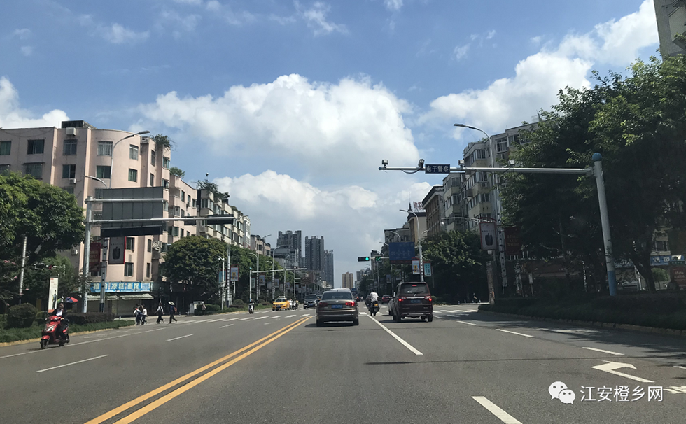 变态！宜宾猥琐男在街头裸露下体！-1.png
