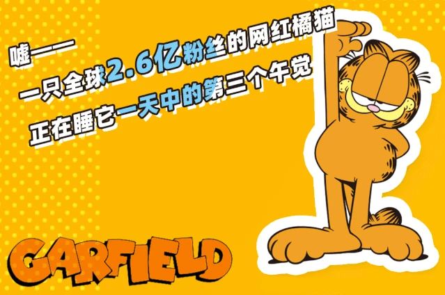 这个在全球有2.6亿粉丝的网红，即将空降宜宾！全都排队去看…-2.jpg