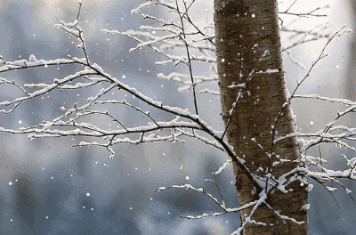 大降温！宜宾又要下雪了！气温低至-1℃！-3.gif