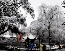 大降温！宜宾又要下雪了！气温低至-1℃！-8.png