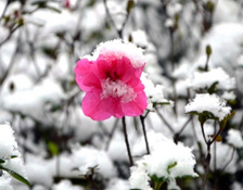 大降温！宜宾又要下雪了！气温低至-1℃！-9.png