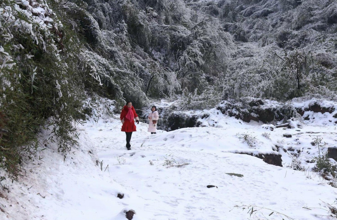 大降温！宜宾又要下雪了！气温低至-1℃！-12.png