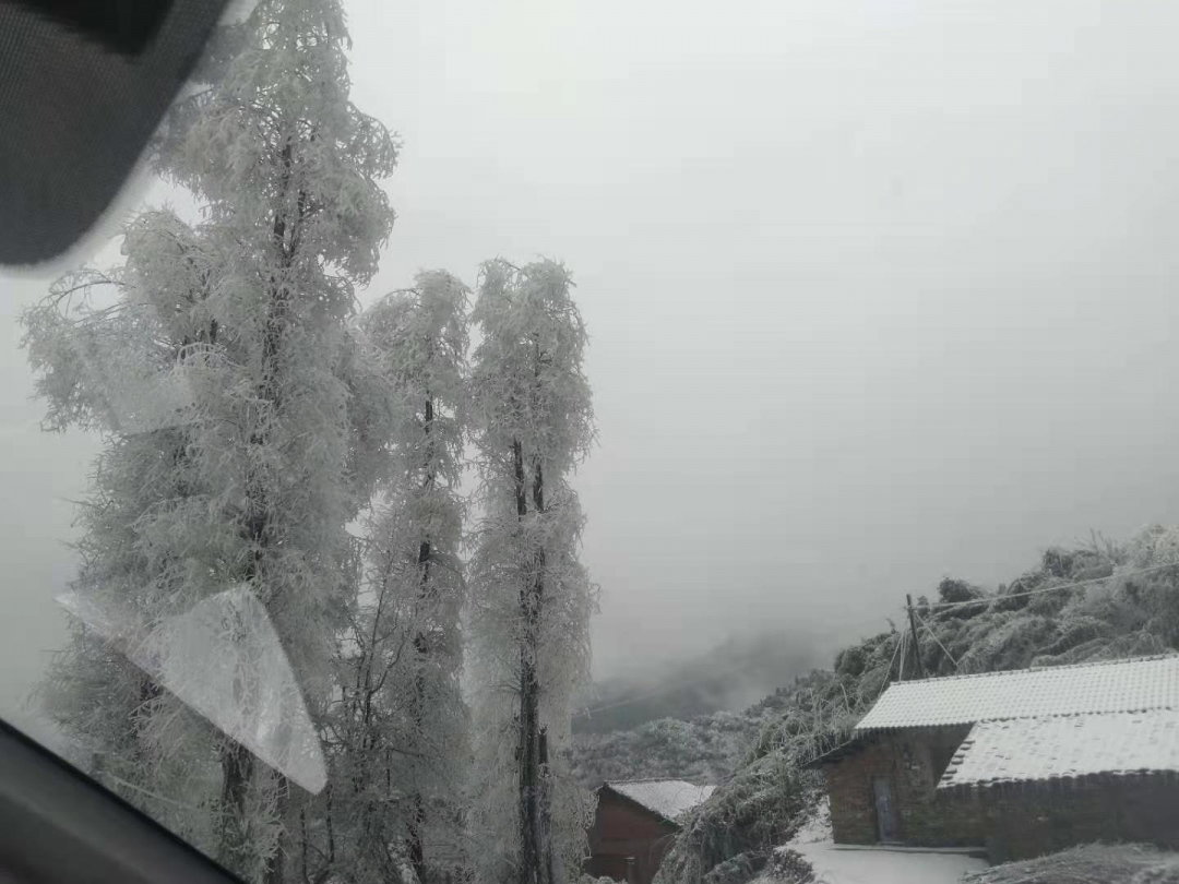 大降温！宜宾又要下雪了！气温低至-1℃！-16.png