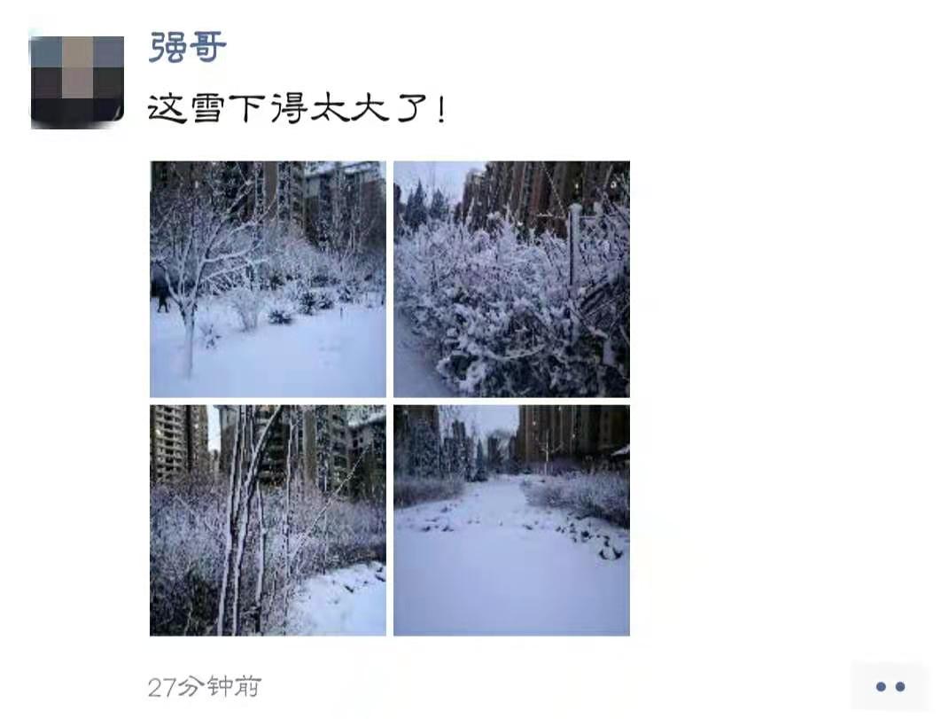 什么情况？宜宾的雪是落歪了吗？成宜对比我酸了！-2.jpg