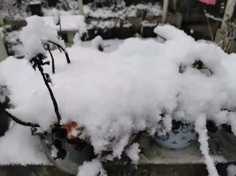 气温回升到13℃！宜宾这些地方的雪景美翻了，抓紧看！-6.png