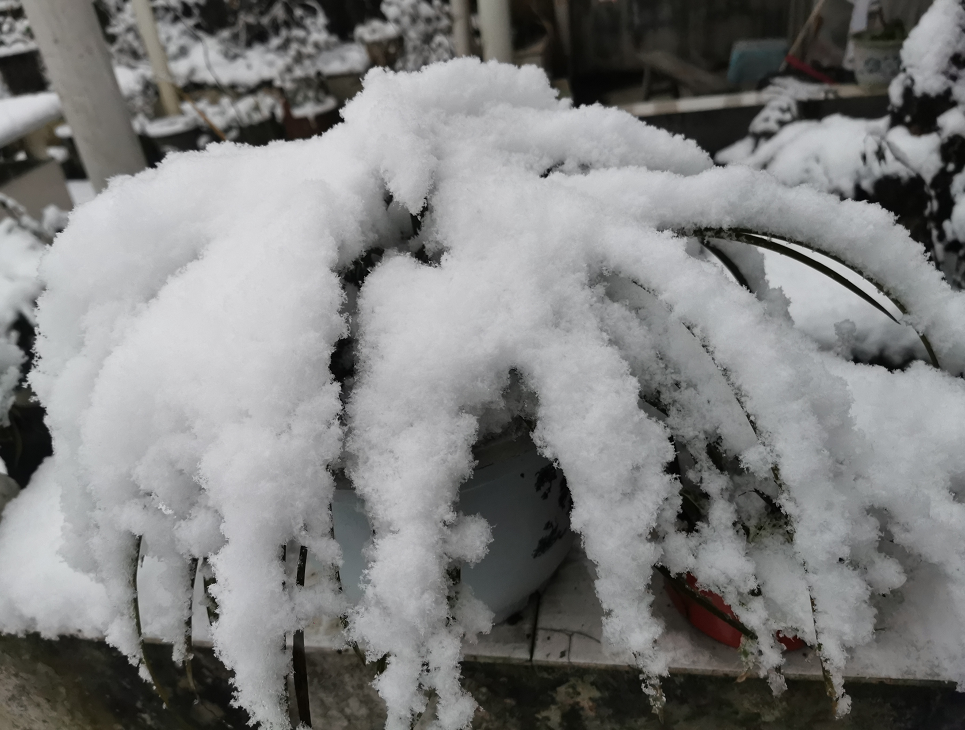 气温回升到13℃！宜宾这些地方的雪景美翻了，抓紧看！-7.png
