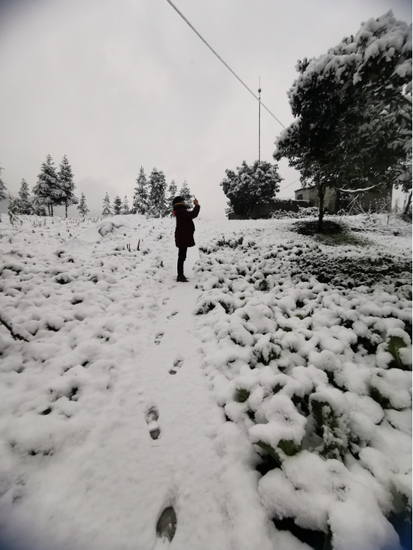 气温回升到13℃！宜宾这些地方的雪景美翻了，抓紧看！-13.png