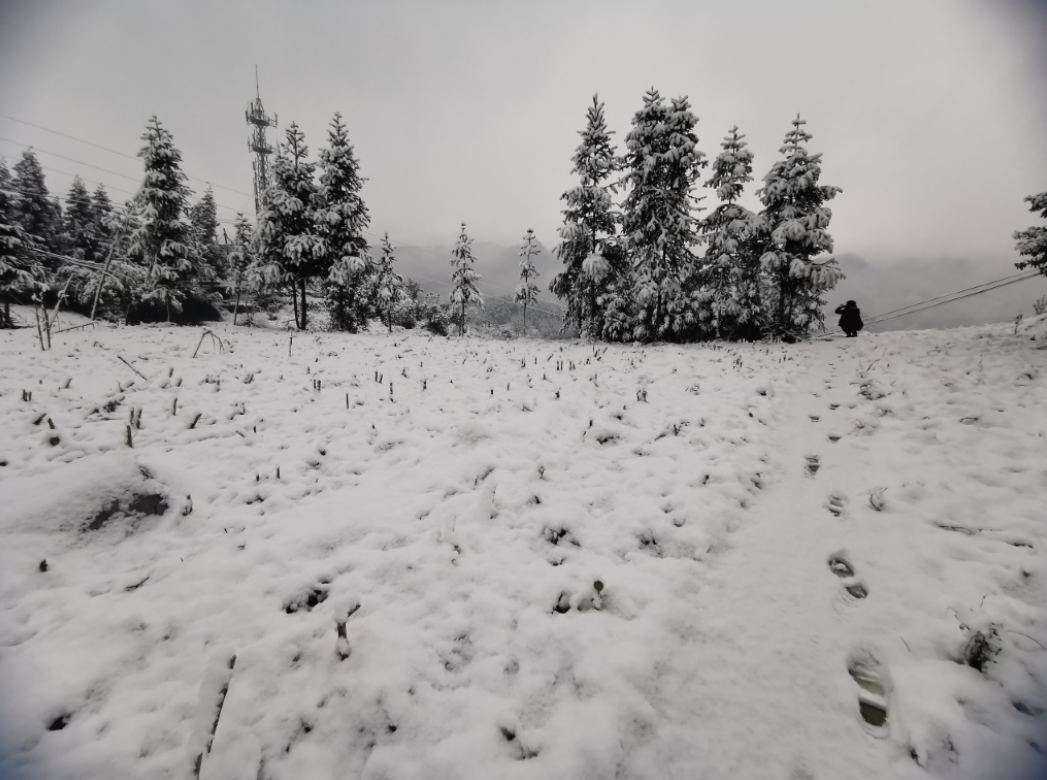 气温回升到13℃！宜宾这些地方的雪景美翻了，抓紧看！-14.png