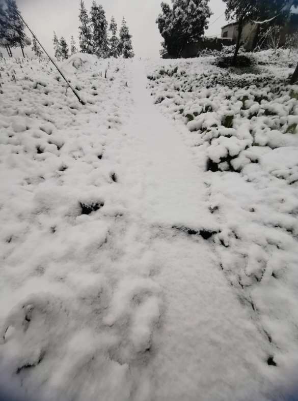 气温回升到13℃！宜宾这些地方的雪景美翻了，抓紧看！-12.png
