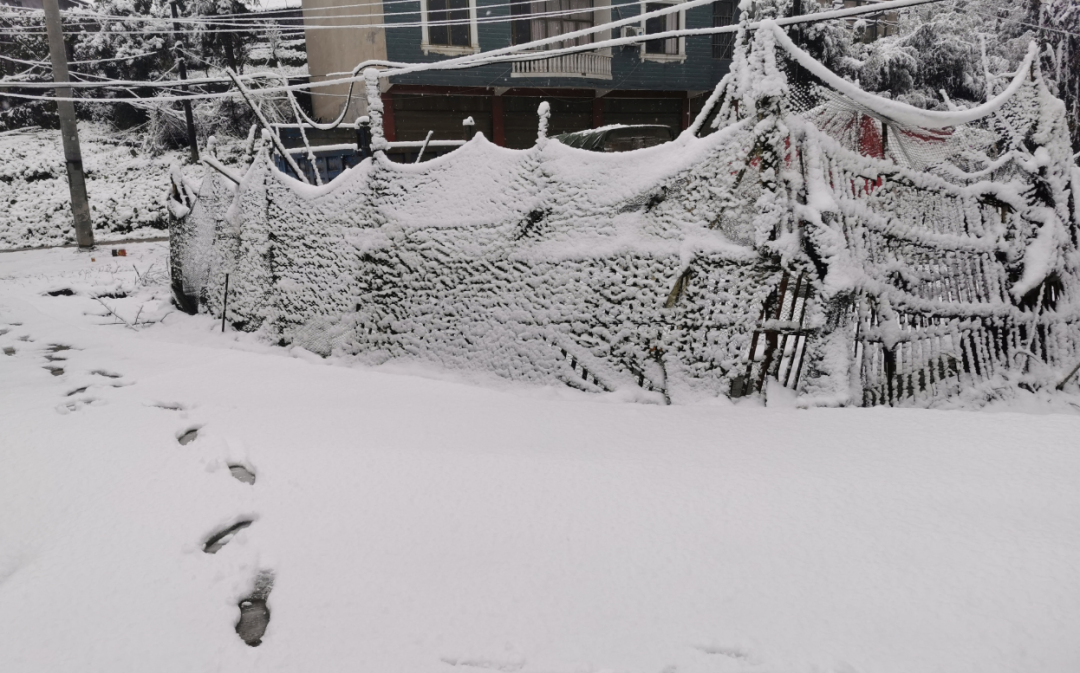 气温回升到13℃！宜宾这些地方的雪景美翻了，抓紧看！-15.png