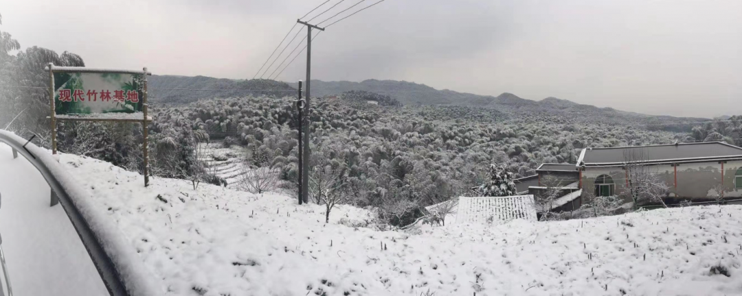 气温回升到13℃！宜宾这些地方的雪景美翻了，抓紧看！-23.png