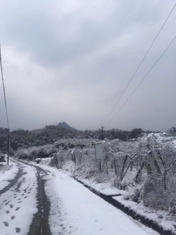 气温回升到13℃！宜宾这些地方的雪景美翻了，抓紧看！-24.png