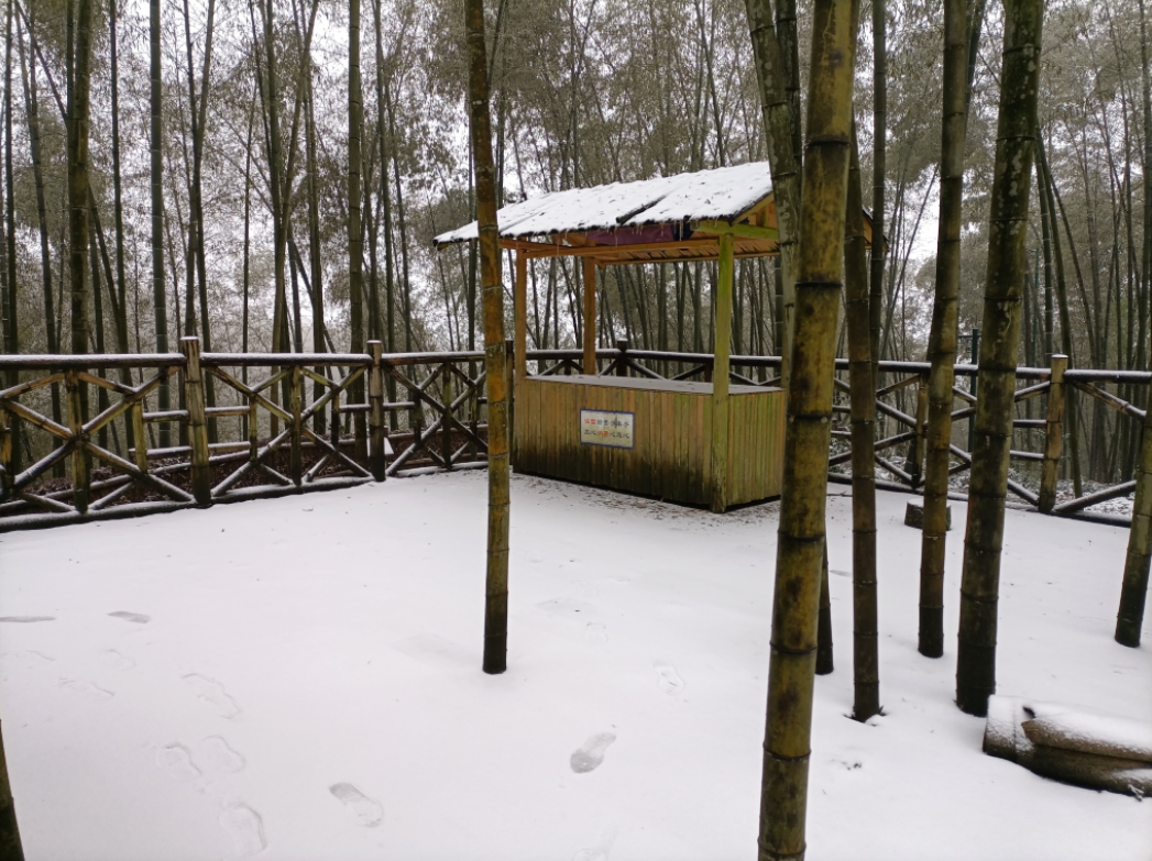 气温回升到13℃！宜宾这些地方的雪景美翻了，抓紧看！-26.png