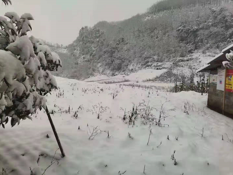 气温回升到13℃！宜宾这些地方的雪景美翻了，抓紧看！-38.png