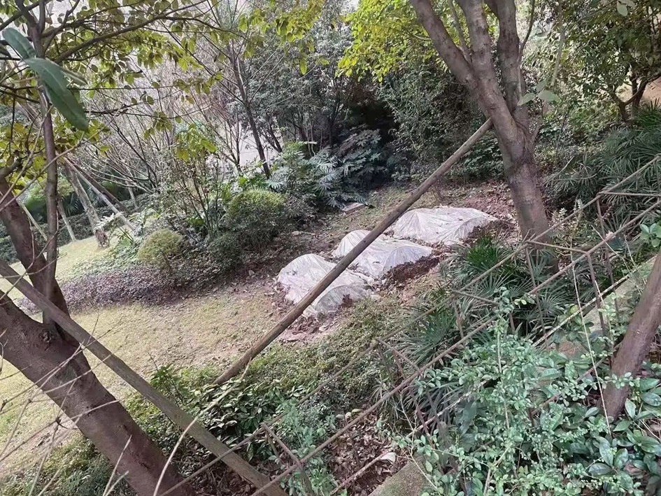 宜宾这个小区的业主太惨了！开发商资金链断裂，遭抵押、查封！接房4年无产权证！-2.jpg