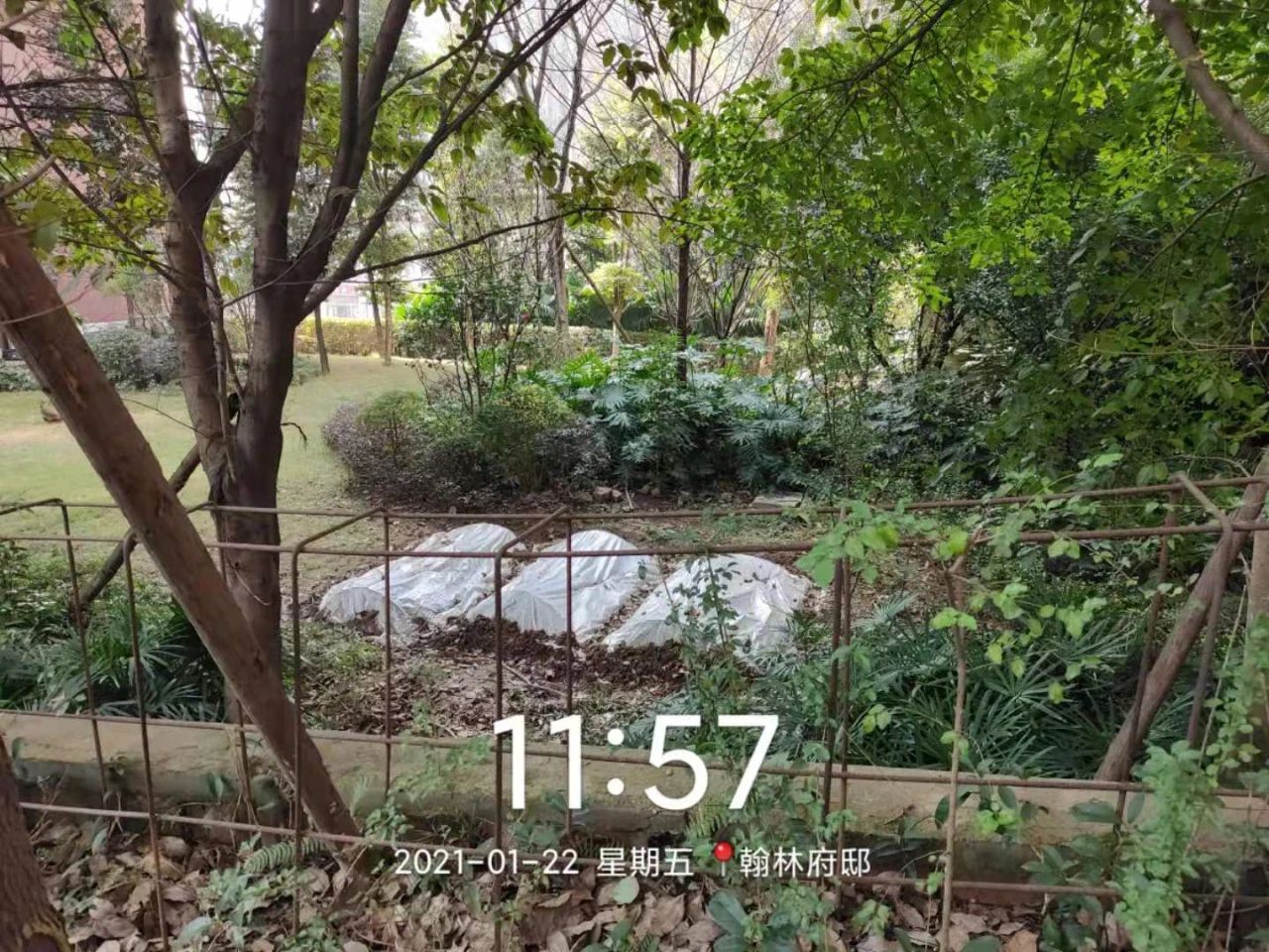 宜宾这个小区的业主太惨了！开发商资金链断裂，遭抵押、查封！接房4年无产权证！-4.jpg
