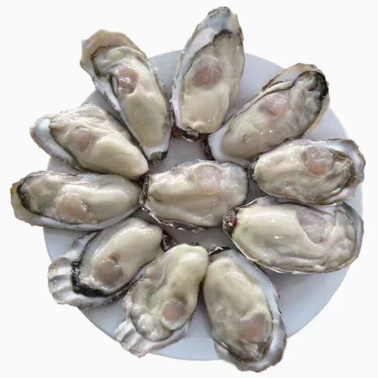 有，喜欢吃生蚝的吗-1.jpg