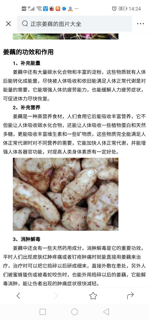 有多少人吸过这种植物的花，又有多少人吃过这种粉条-5.jpg