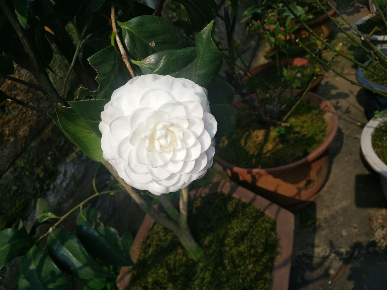 宜宾周边游不要门票的景点推荐！-2.jpg
