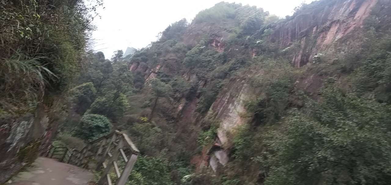 龙头山上的梨花和桃花开了。-4.jpg
