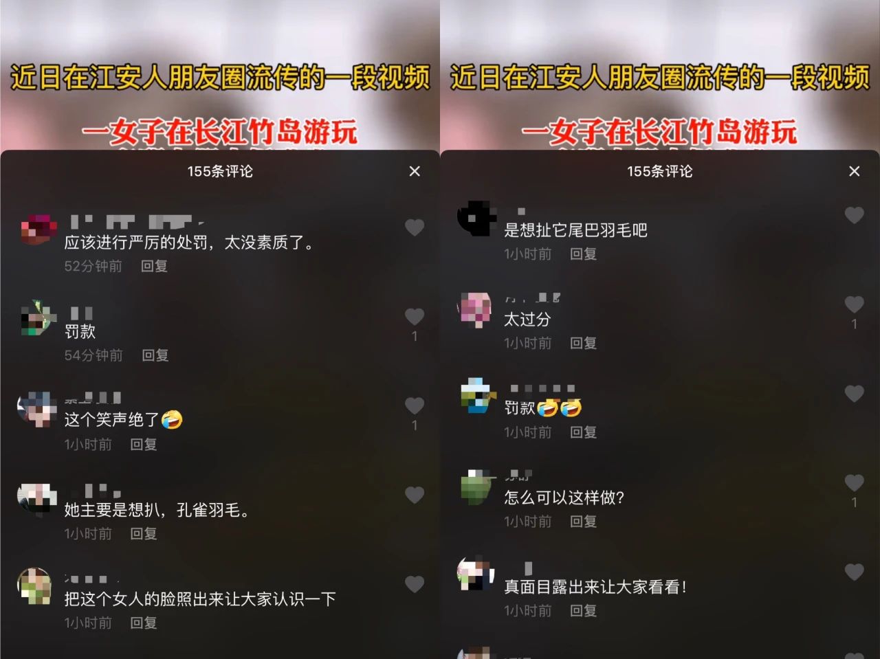 太恶劣！宜宾一女子强拽孔雀尾巴并扯毛，孔雀受惊惨叫！-4.jpg