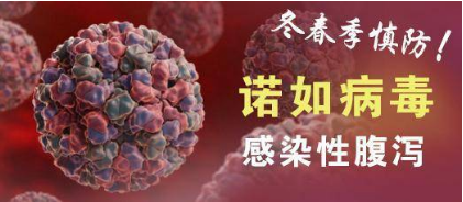 宜宾人注意！诺如病毒到高发期了，外地已有学校停课！-2.png