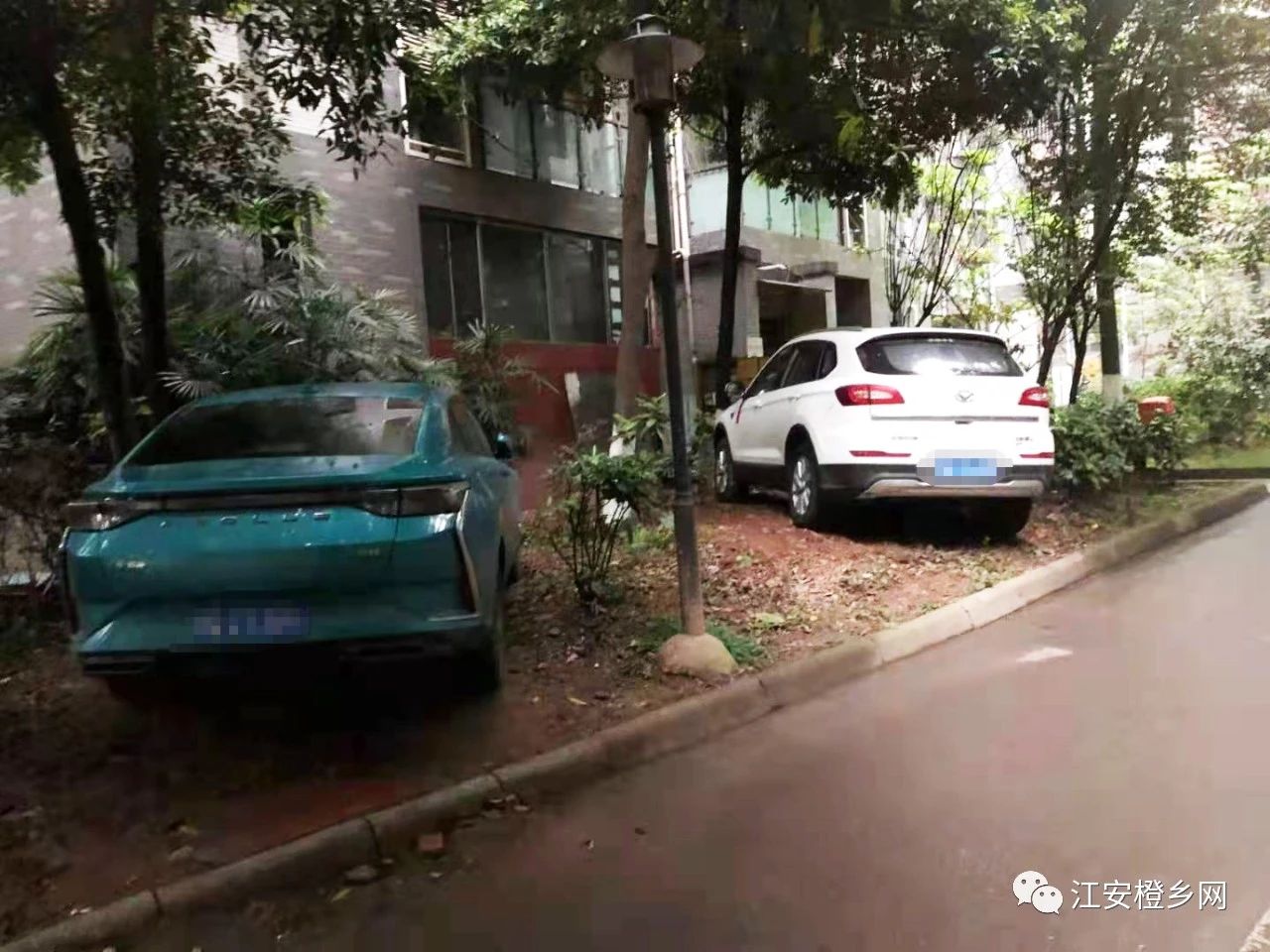 宜宾一小区未经批准将绿化带改为车位，物业称管不了！-4.jpg