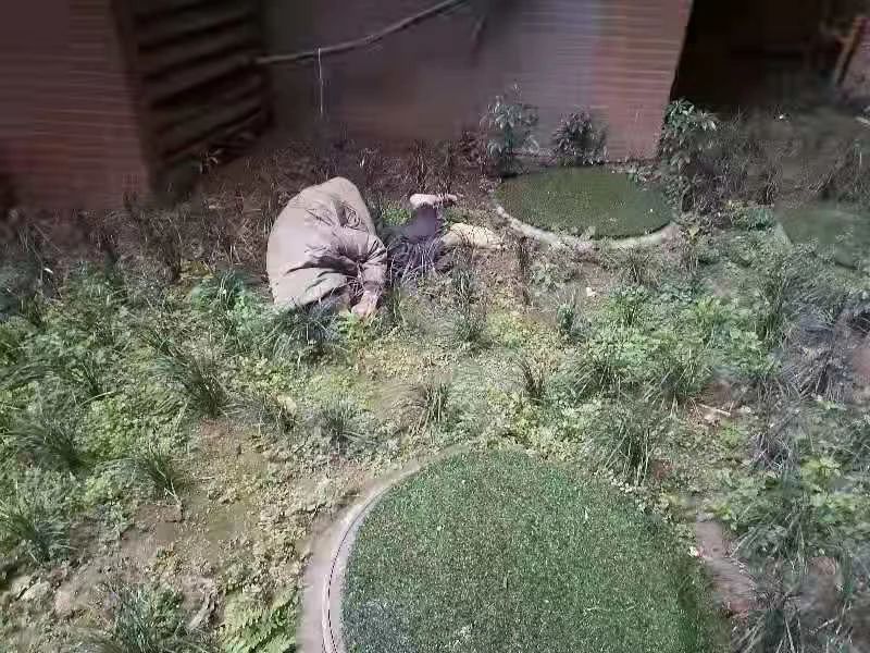 宜宾一80多岁老人跳楼自杀，当场死亡！-2.jpg