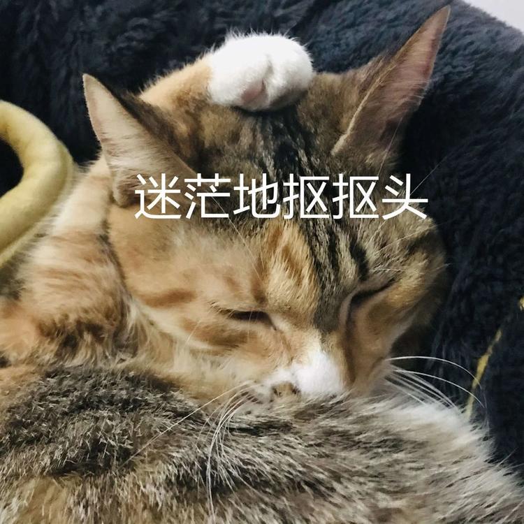 放假通知！宜宾人，来看看你今年还有多少天假期-1.jpg