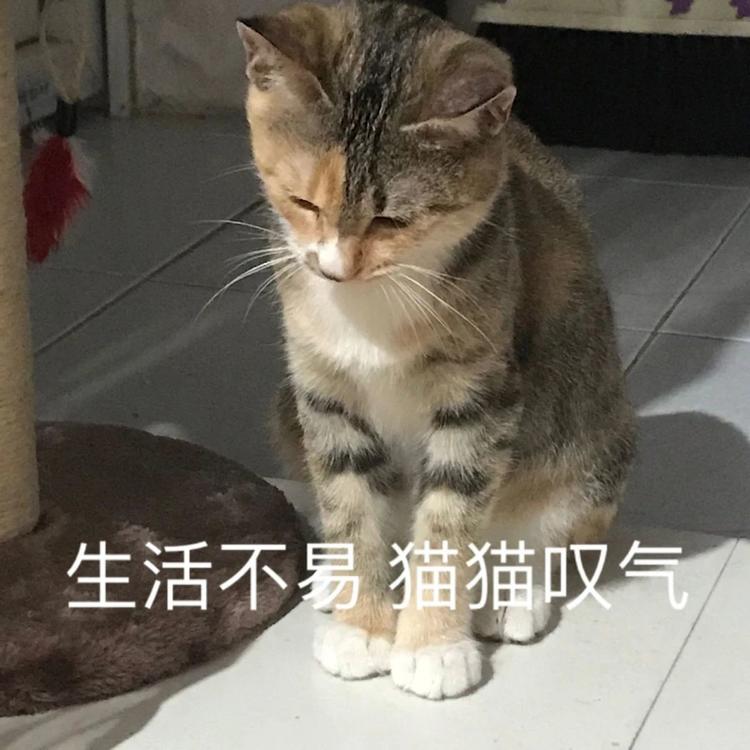 放假通知！宜宾人，来看看你今年还有多少天假期-7.jpg