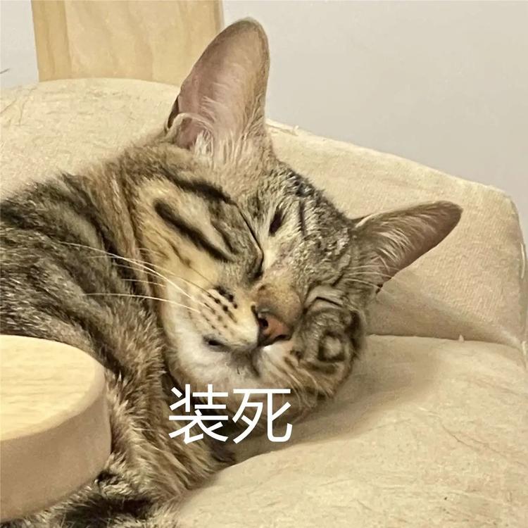 放假通知！宜宾人，来看看你今年还有多少天假期-6.jpg