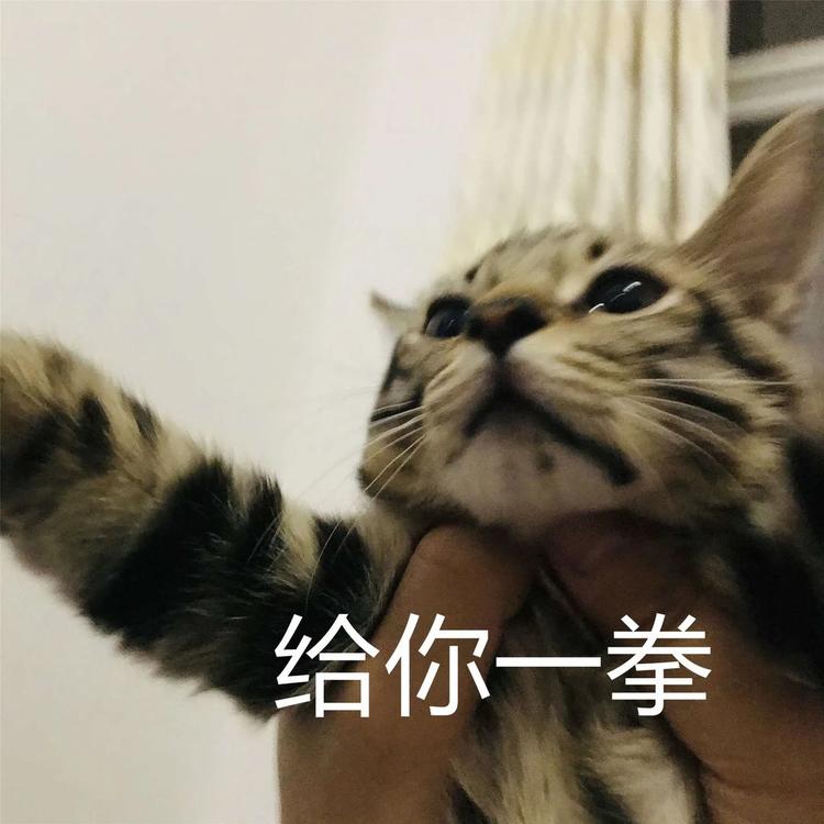 放假通知！宜宾人，来看看你今年还有多少天假期-14.jpg