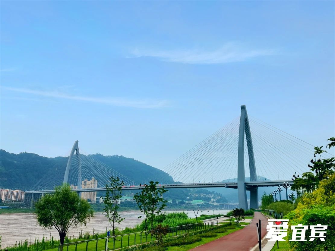 太美了！宜宾东楼公园开放啦！实拍美图来了...-5.jpg