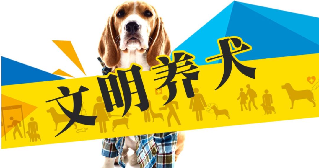最新！宜宾市养犬管理办法（草案）出炉！-1.jpeg