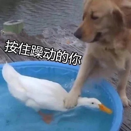 宜宾小伙深夜撩美女，结果被一群男人上门服务…-3.jpg